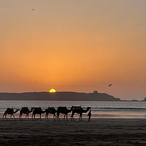 La Symbiose Séjour chez l'habitant Essaouira